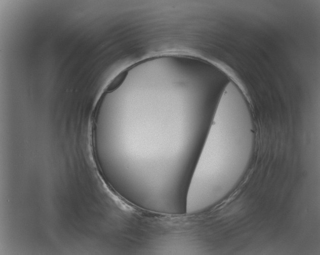 X0000060781006200511101003