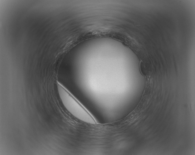 X0000060781012200511101002