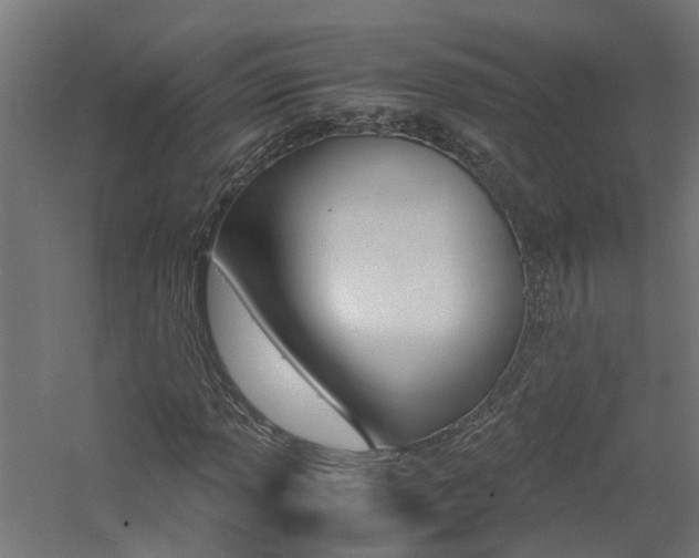 X0000060781013200511101002