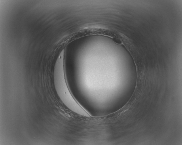 X0000060781014200511101002