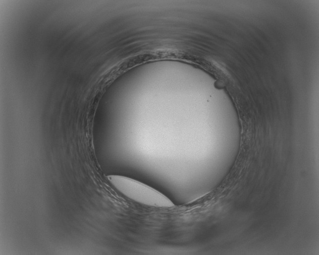 X0000060781015200511101002