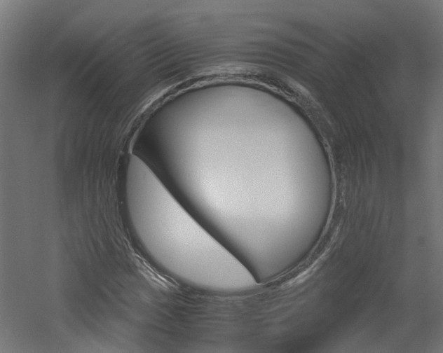 X0000060781017200511101002