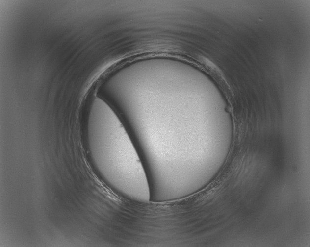 X0000060781019200511101003
