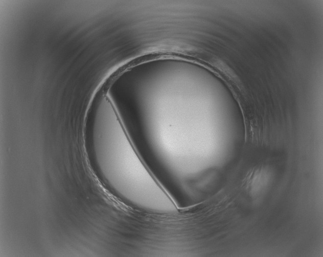 X0000060781020200511101003