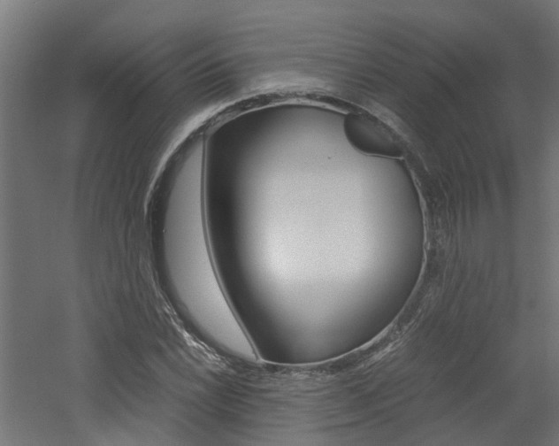 X0000060781022200511101003