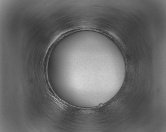 X0000060781023200511101003