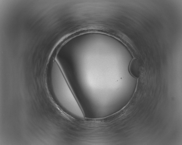 X0000060781024200511101003