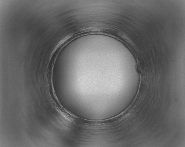 X0000060781026200511101003