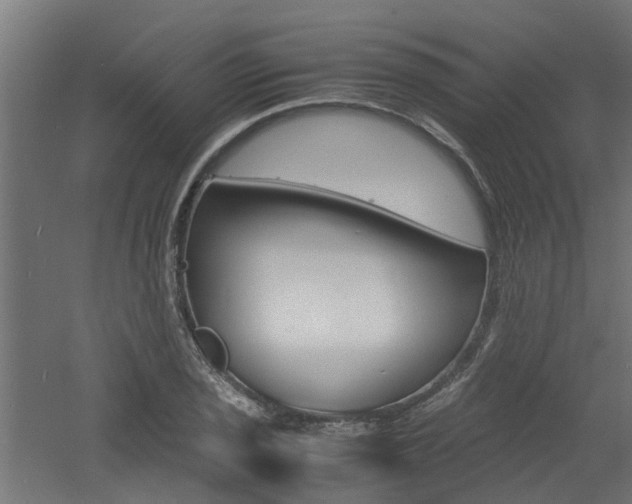 X0000060781029200511101003