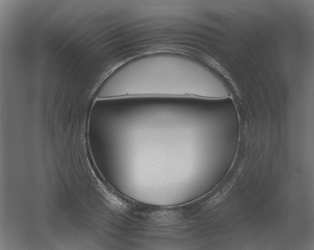 X0000060781033200511101003
