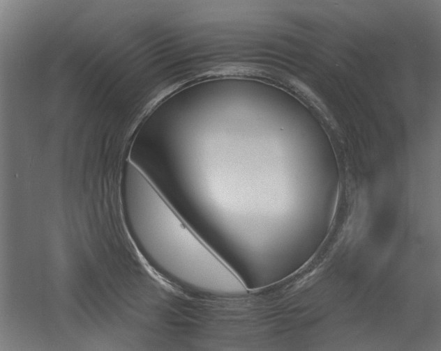 X0000060781041200511101003