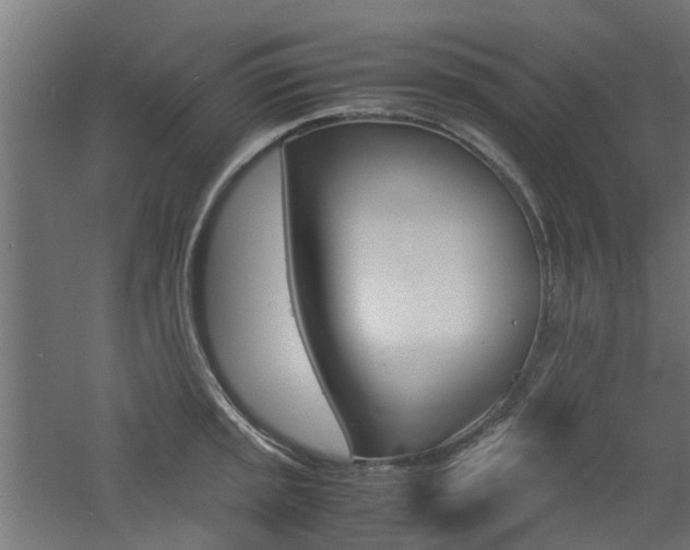 X0000060781045200511101003