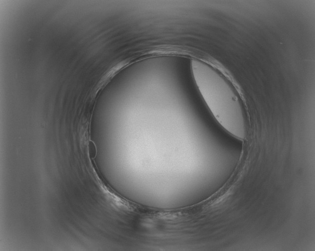 X0000060781049200511101003