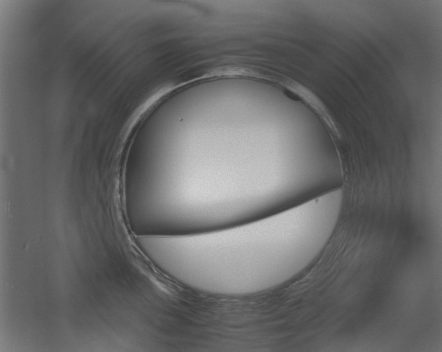 X0000060781051200511101003