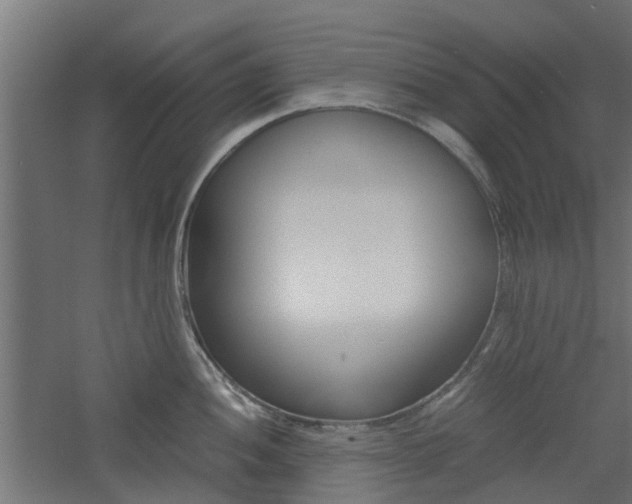 X0000060781052200511101003