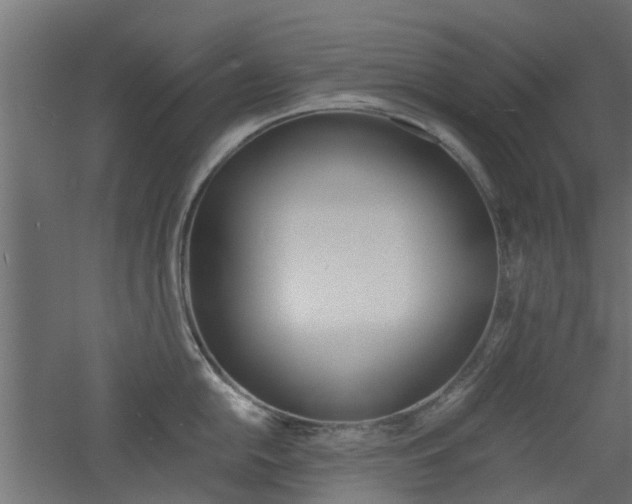 X0000060781054200511101003