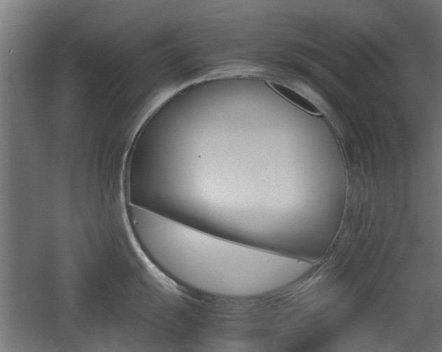 X0000060781055200511101003