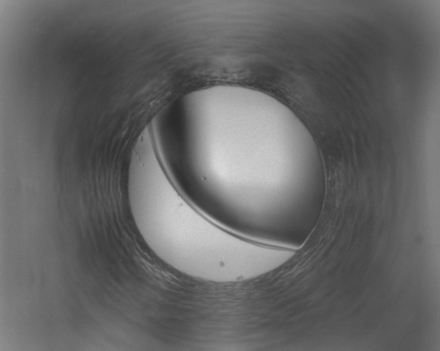 X0000060781058200511101002