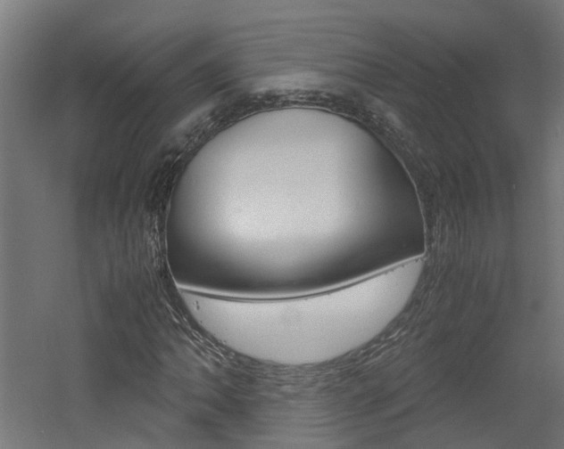 X0000060781062200511101002