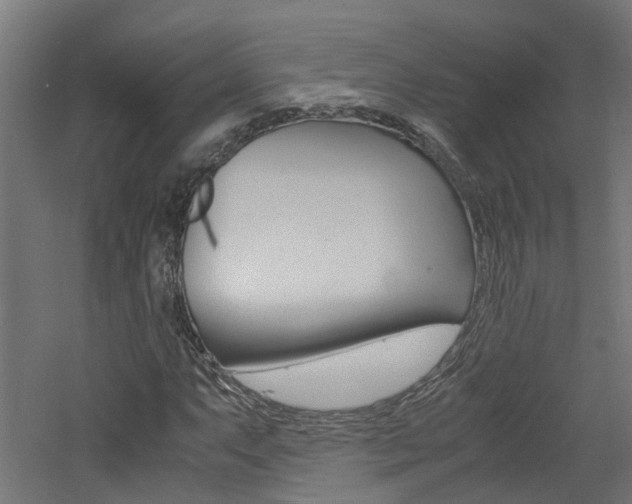 X0000060781063200511101002