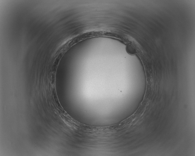 X0000060781064200511101002