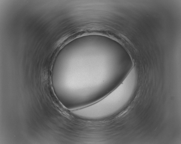 X0000060781065200511101002
