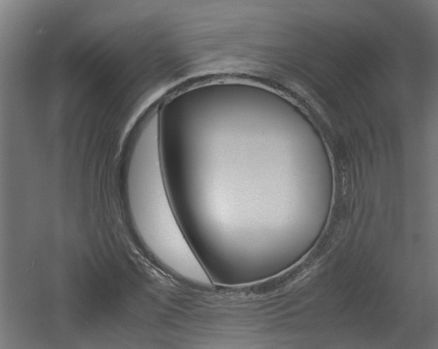 X0000060781069200511101002