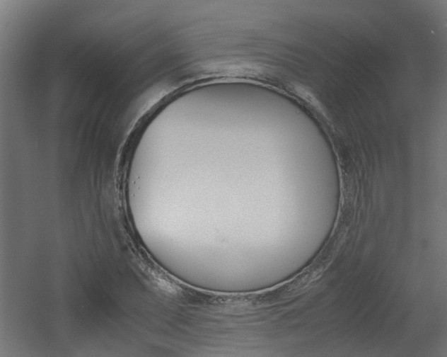 X0000060781071200511101002