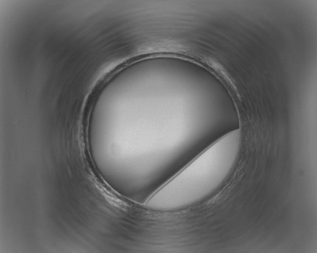 X0000060781072200511101002