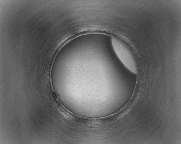 X0000060781073200511101002