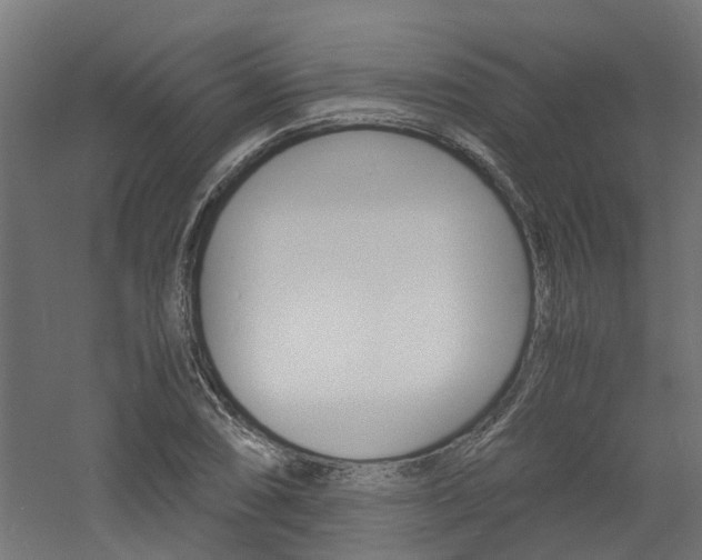 X0000060781074200511101002