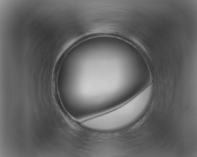X0000060781077200511101002