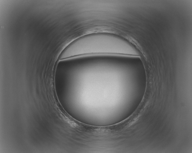 X0000060781081200511101002