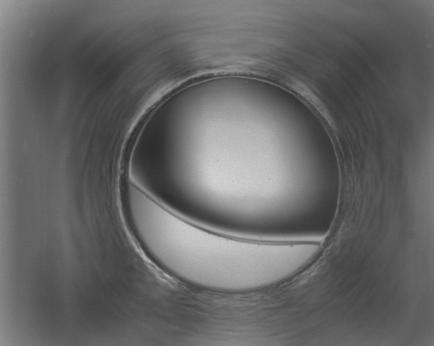 X0000060781093200511101002