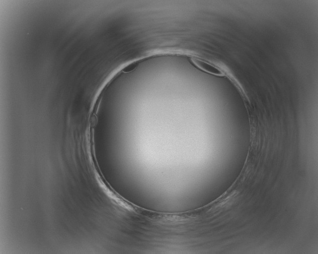 X0000060781100200511101002