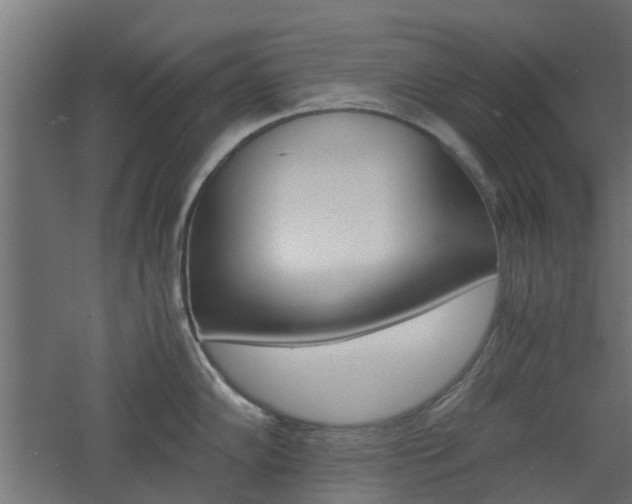 X0000060781102200511101002