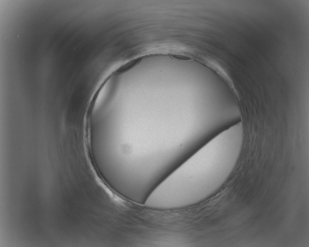 X0000060781103200511101002
