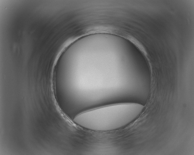 X0000060781104200511101002