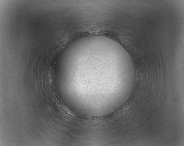X0000060781106200511101001