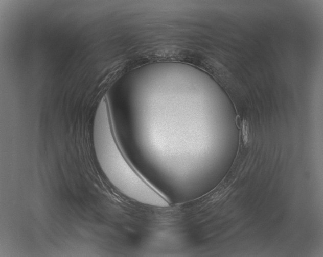 X0000060781107200511101001