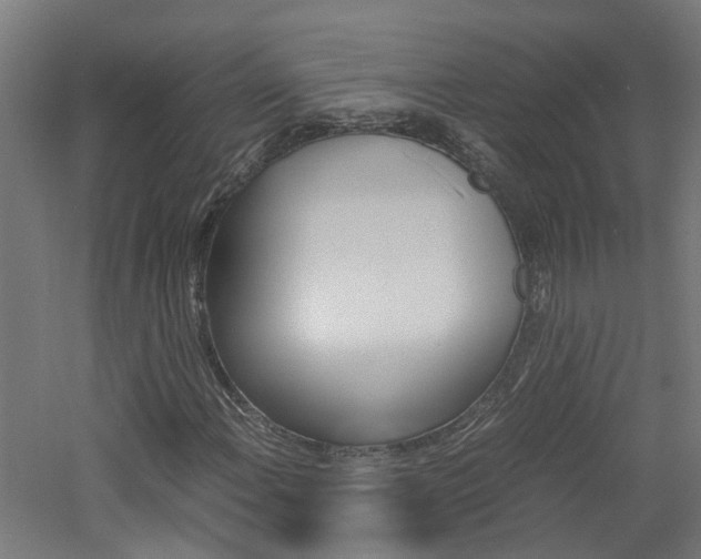 X0000060781108200511101001