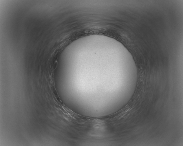 X0000060781109200511101001