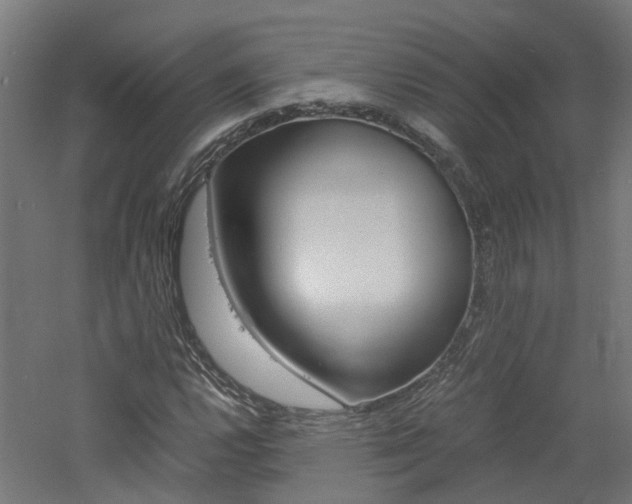 X0000060781112200511101001