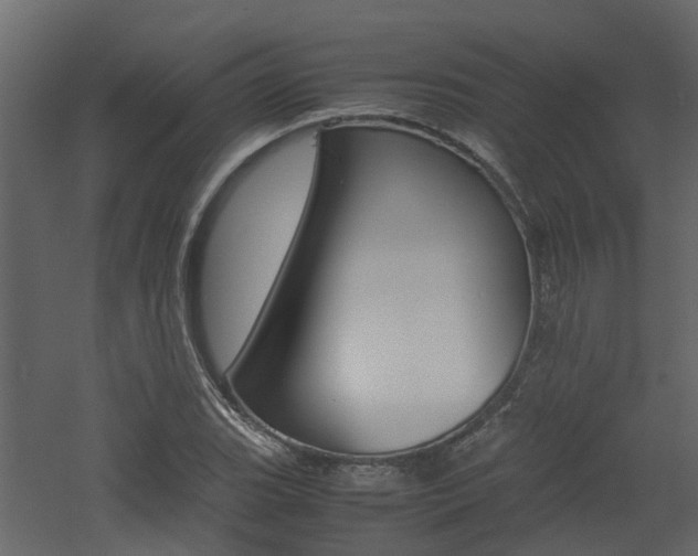 X0000060781119200511101001