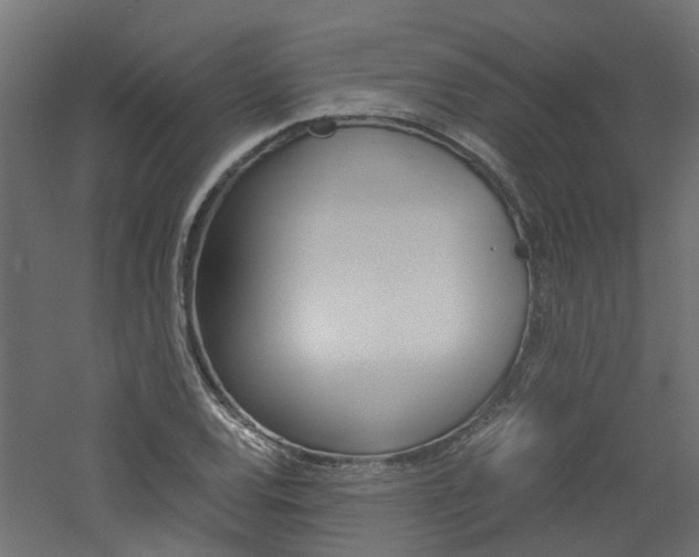 X0000060781120200511101001