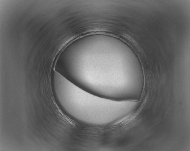 X0000060781121200511101001