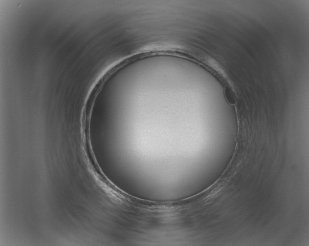 X0000060781124200511101001