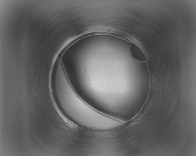 X0000060781128200511101001