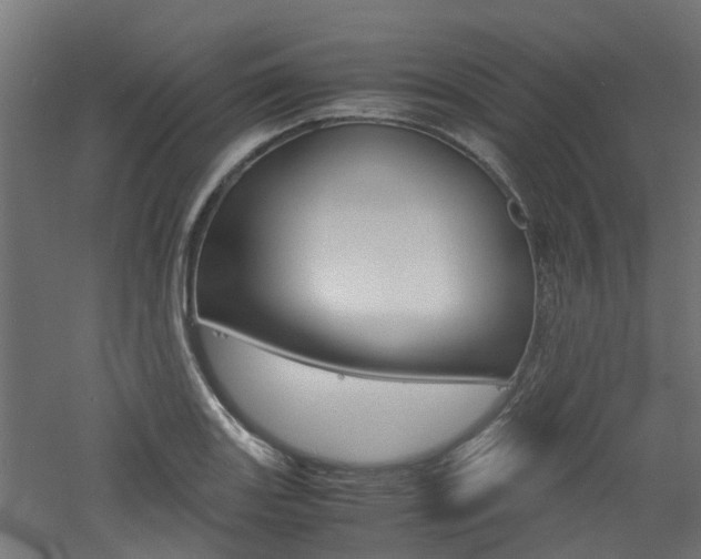 X0000060781131200511101001