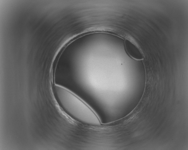 X0000060781132200511101001